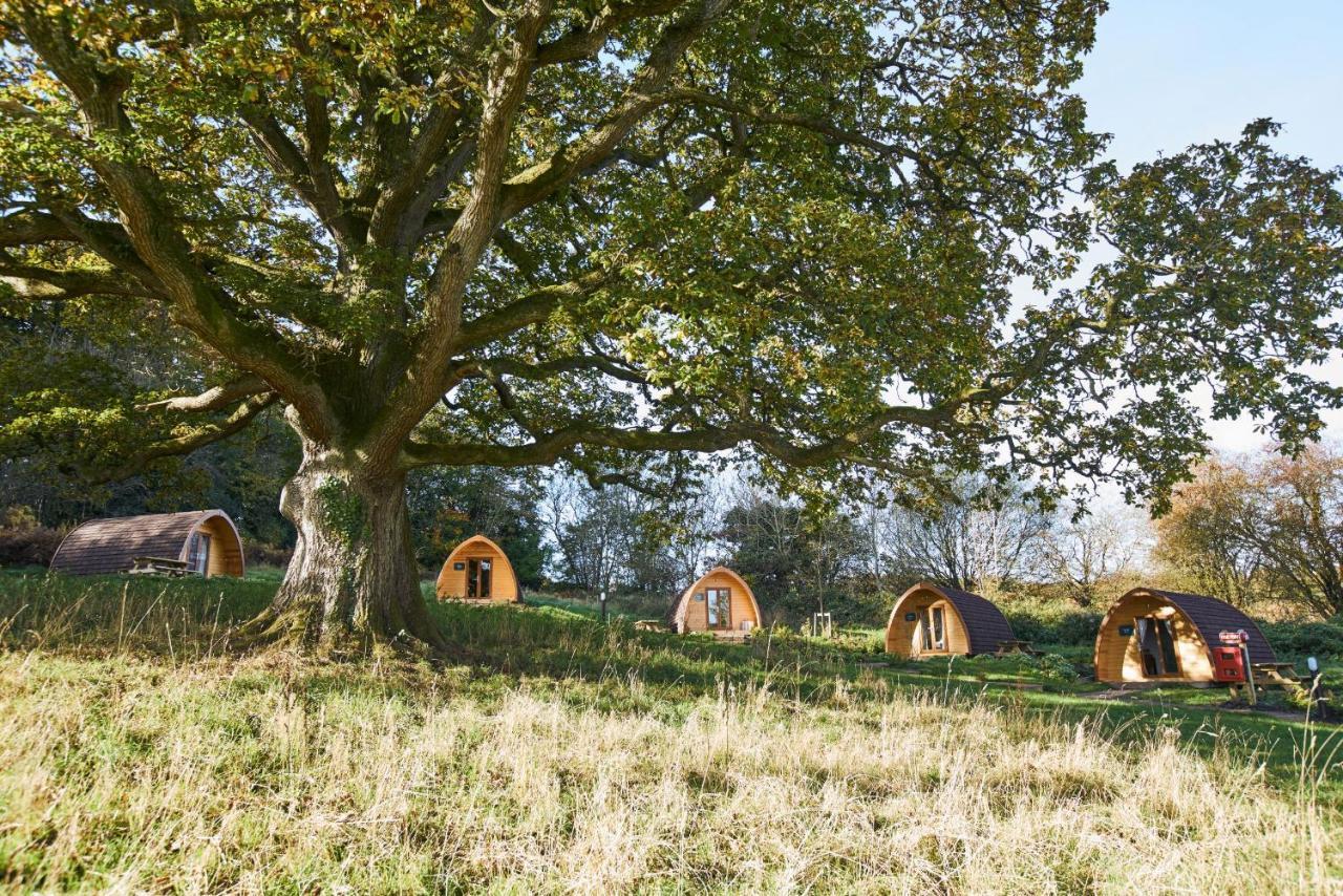 Whitemead Forest Park Lydney Exterior foto